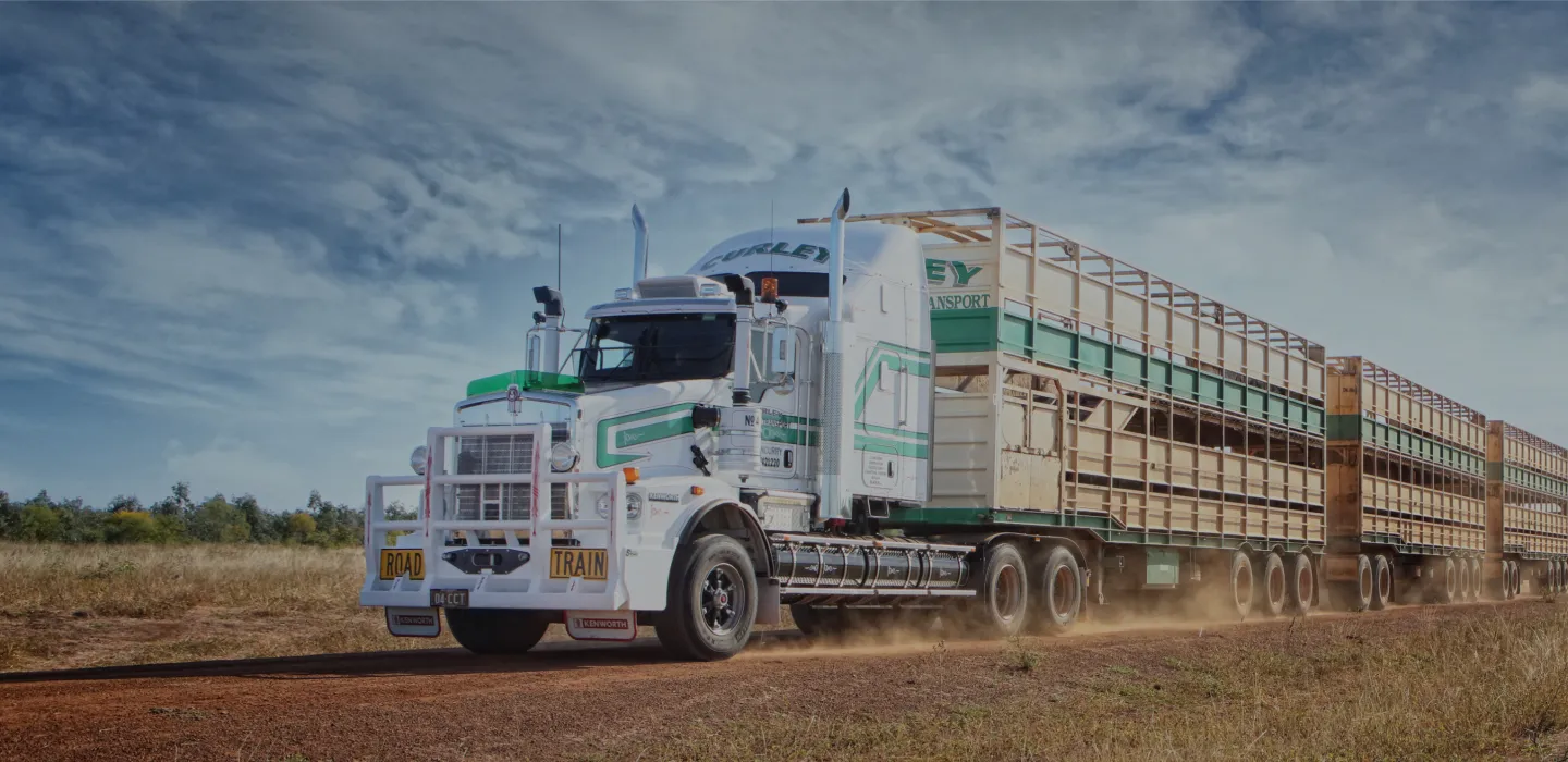 Curley Cattle Transport Cloncurry, Queensland